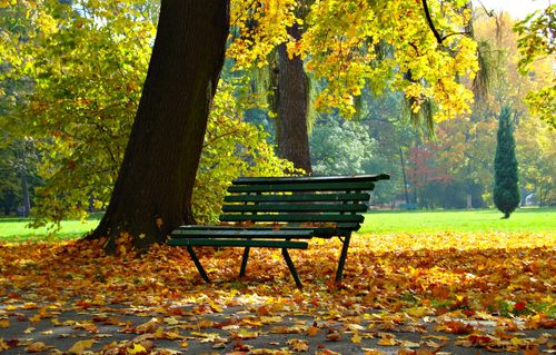 City Oases